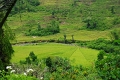 Labuhan Bajo - Bajawa 'On The Road' (24)